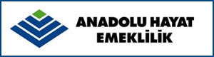 Anadolu-hayat-emeklilik-acente.org
